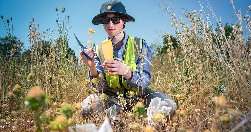 A young man in flourescent yellow vest and sun hat is crouched in a grassy field holding a flower and scissors