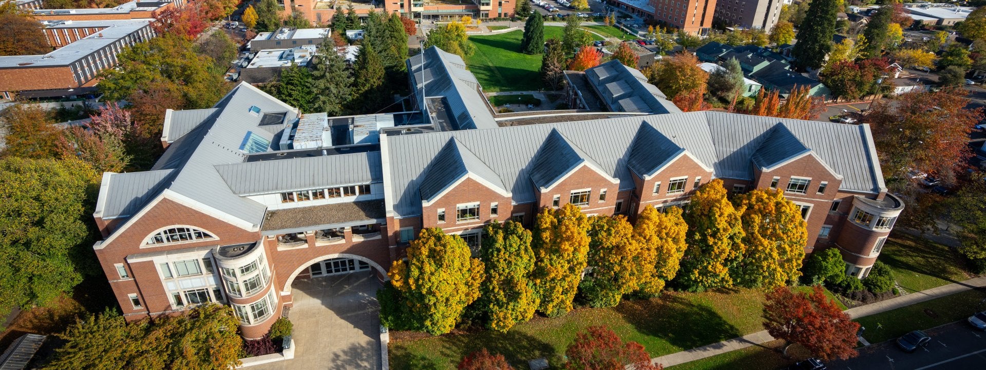 school of law 