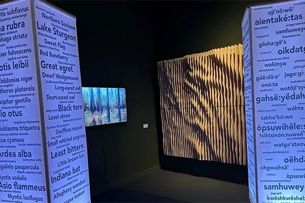 Venice Biennale of Architecture