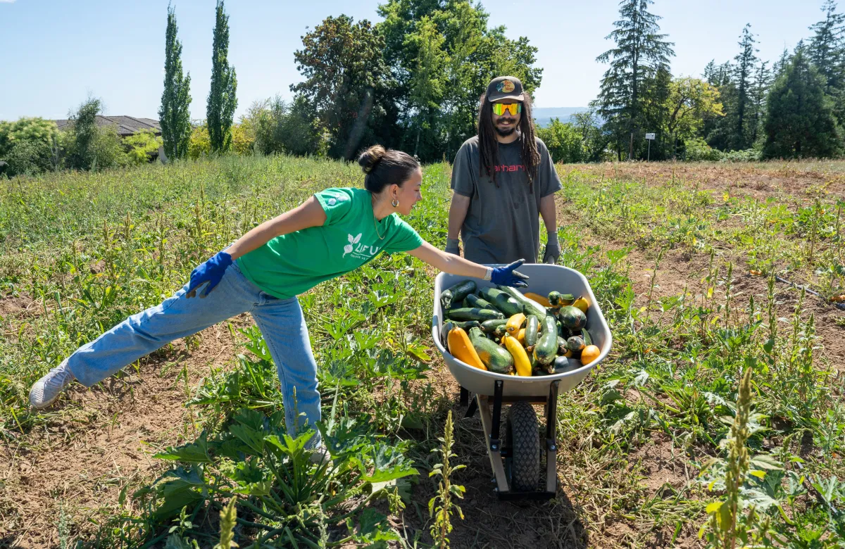 Sarah Van Horn places freshly harvested squash into a wheelbarrow in a farm field